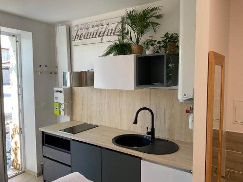 une cuisine avec un évier et un comptoir avec des plantes dans l'établissement Studio au cœur du village, à Rillieux-la-Pape