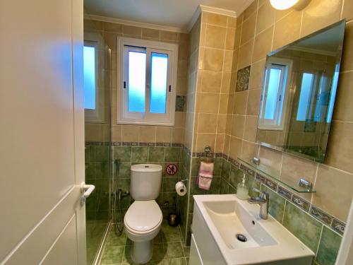 a bathroom with a toilet and a sink at Sea Front Villa Ekaterina in Paphos City