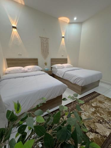 a bedroom with two beds and a plant at One-77 in Cairo