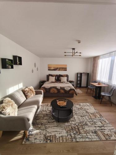 バート・ノイェンアール・アールヴァイラーにあるFerienwohnung Taniaのソファとベッドのあるリビングルーム