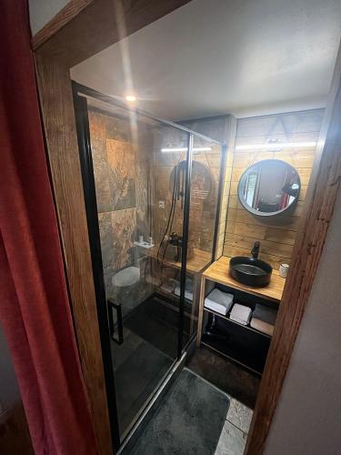 une salle de bain avec une douche avec un lavabo et un miroir dans l'établissement Le bout du chemin, à Treize-Vents