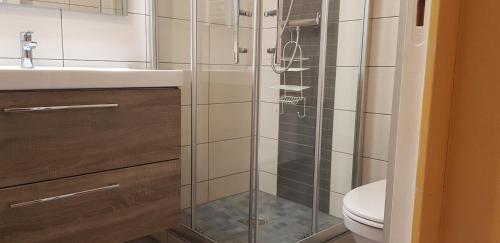 une salle de bain avec une douche avec des toilettes et un lavabo dans l'établissement Gite Les Oyats, à Cancale