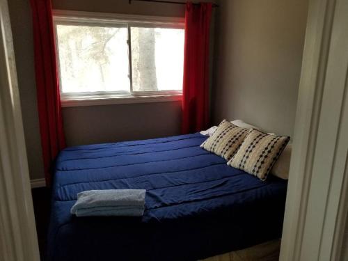 a small bedroom with a bed with a window at Westlake Cottage - Wellington Lodge in Wellington