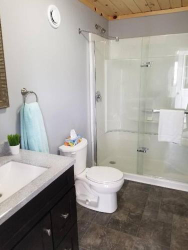 a bathroom with a toilet and a glass shower at Westlake Cottage - Wellington Lodge in Wellington