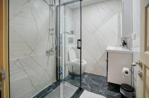a bathroom with a shower and a toilet at Cendere Old City Hotel in Istanbul