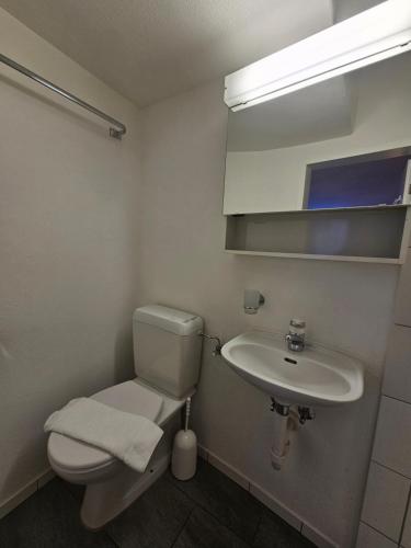 a bathroom with a toilet and a sink at Hotel Surselva in Chur