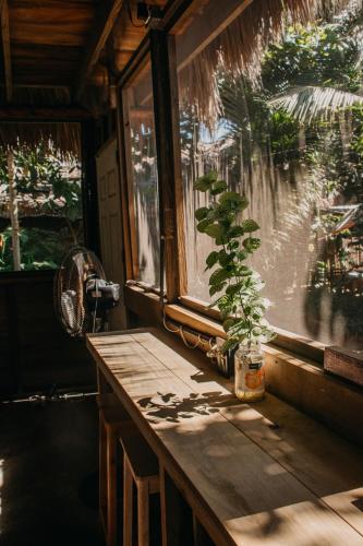 a potted plant sitting on a table next to a window at Casa Austera in El Paredón Buena Vista
