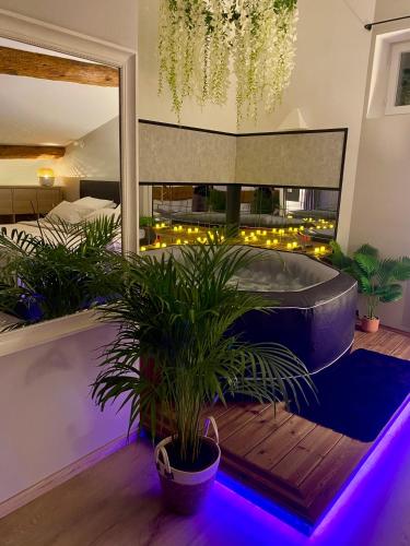 Photo de la galerie de l'établissement Love room village, à Rillieux-la-Pape