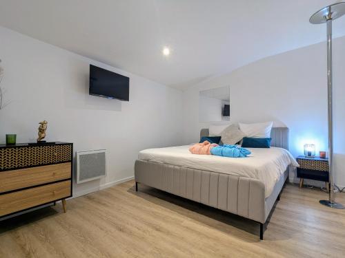 une chambre avec un lit et une télévision au mur dans l'établissement Plaisir et passion, à Roanne