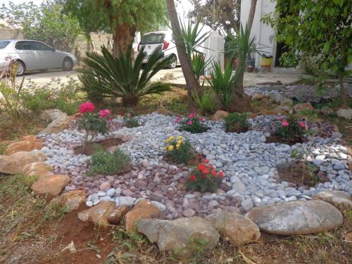 a garden with rocks and flowers in a yard at Nicholas Waves Beach Studios in Lardos