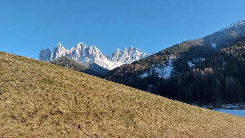 a grassy hill with a mountain in the background at Dolomiten Home in Villnoss