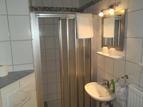 ブリーデルにあるWeingut u. Gästehaus Mentenの小さなバスルーム(シンク、シャワー付)