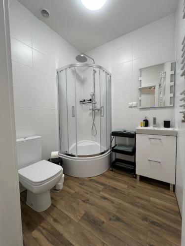 Ένα μπάνιο στο Apartament Popiel