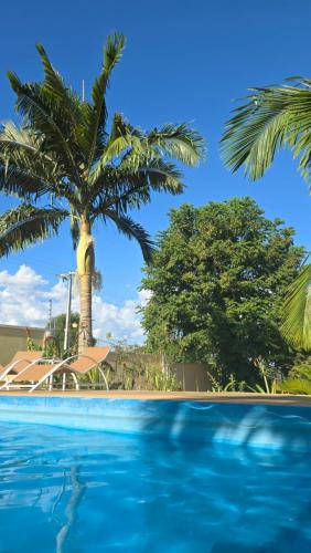 a palm tree and a swimming pool in front of a resort at El Jardín Secreto in Trinidad