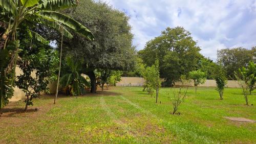 a garden with trees and grass and a fence at El Jardín Secreto in Trinidad