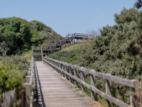 a wooden boardwalk on a hill with trees and bushes at Villa in Wenduine near the Beach in Wenduine