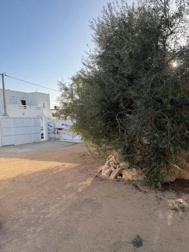 Φωτογραφία από το άλμπουμ του Résidence Azur Djerba σε Taguermess