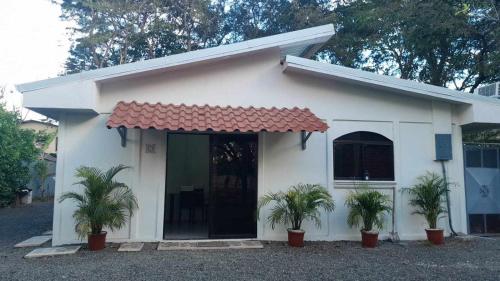 a white house with palm trees in front of it at Casa Cocobolo in Tamarindo