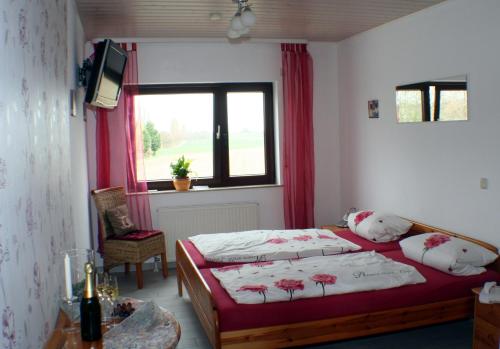 a bedroom with a bed and a tv and a window at Pension und Weingut Hirschhof in Offenheim