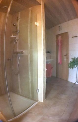 a shower with a glass door in a bathroom at Pension und Weingut Hirschhof in Offenheim
