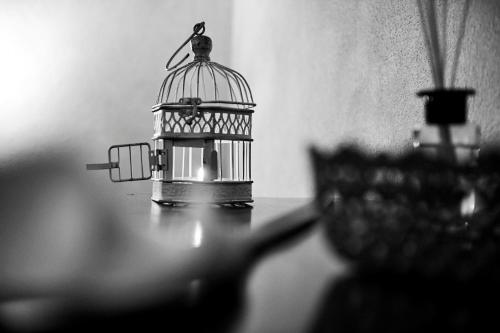 a bird cage sitting on top of a table at Agriturismo Il Casalino in Pienza