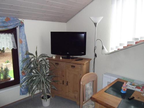 a living room with a flat screen tv on a wooden cabinet at Pension und Weingut Hirschhof in Offenheim