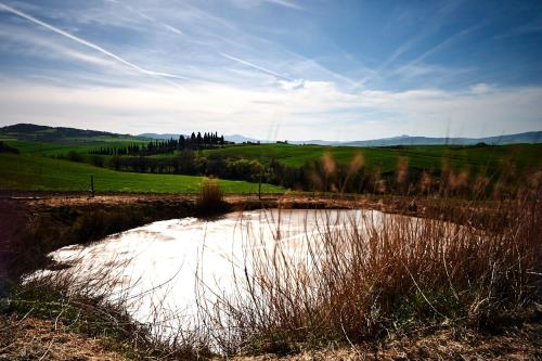 a small pond in the middle of a field at Agriturismo Il Casalino in Pienza
