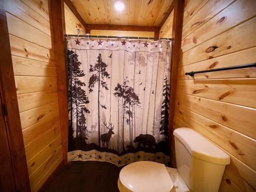 a bathroom with a toilet and a shower curtain at On Mountain Time in Sevierville