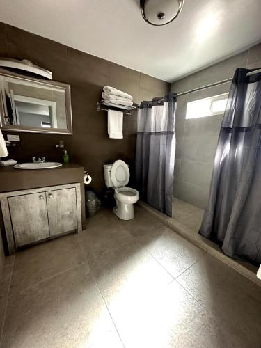 a bathroom with a toilet and a sink at AXEL Suites Departamento 1A in Delicias