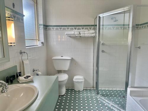 a bathroom with a shower and a toilet and a sink at Young Federation Motor Inn and Services Club in Young