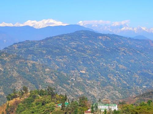 a mountain with trees and mountains in the background at Solitude in the Himalayas in Darjeeling