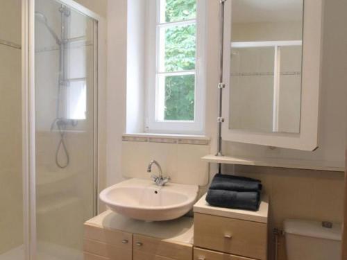 une salle de bain avec un lavabo, un miroir et une douche dans l'établissement Gîte familial entre Angers et Saumur - FR-1-622-104, à Saint-Sulpice