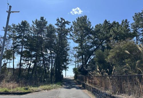 a road with trees and a fence on the side at 御宿Fuku in Kannoura