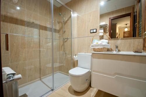 a bathroom with a shower and a toilet and a sink at Apartamentos Casa Paulino in Taramundi