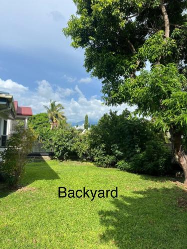 a yard with green grass and a tree at Family Home in Nadi in Nadi