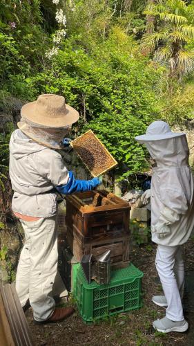 two people in protective gear working with a beehive at 古民家ウェルネスビレッジ青梅 成木の社 Nariki no Mori in Ome