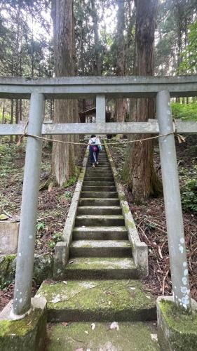 a person walking up a set of stairs in a forest at 古民家ウェルネスビレッジ青梅 成木の社 Nariki no Mori in Ome
