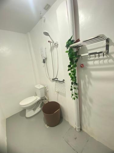 a bathroom with a toilet and a plant in it at Inn Convenience in Coron