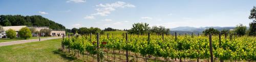 a field of flowers with a fence at Relais Todini - Residenza d'epoca - Luxury Historic house in Todi