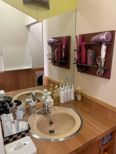 a bathroom counter with a sink and a mirror at ホテル 花みずき in Tuyama