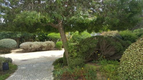 a tree in the middle of a garden at Cabanas Green Apartment & Loft. in Cabanas de Tavira