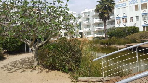 a building with a tree next to a body of water at Cabanas Green Apartment & Loft. in Cabanas de Tavira