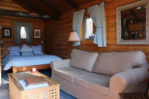 a living room with a couch and a bed at Rocky Mountain Cabins and Home in Golden