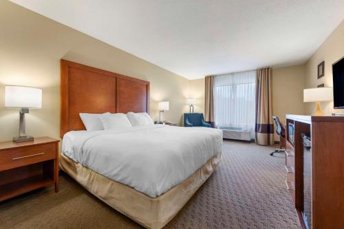 a hotel room with a large bed and a television at Comfort Inn & Suites Black River Falls I-94 in Black River Falls
