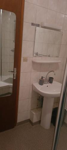 a bathroom with a white sink and a shower at Gîte et chambres d'hôtes Les Framboises in Katzenthal