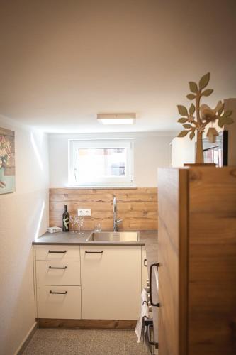 a small kitchen with a sink and a window at Gästezimmer Frühwirth in Teesdorf