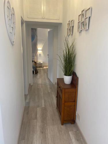 a hallway with a potted plant on a wooden dresser at La casa di Simona in Lido di Ostia