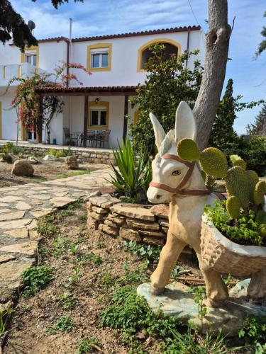 Κήπος έξω από το Palatinos I