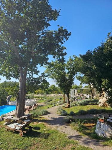 a garden with a tree and a swimming pool at Boutique Resort OSMA - Adults Only in Malinska