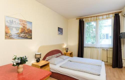 ein Schlafzimmer mit einem großen Bett und einem Fenster in der Unterkunft Young Center in Budapest